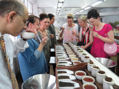 Tea Tasting Training - India