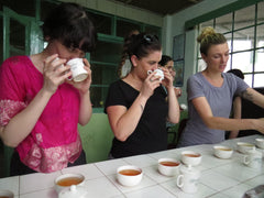 Tea Tasting Training - Overview